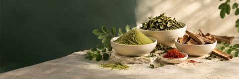 three little ivory dishes containing moringa leaf powder, dried herbal leaves and pieces of dried bark; a pinch of saffron; botanically plausible, no medical symbols on cream and sage