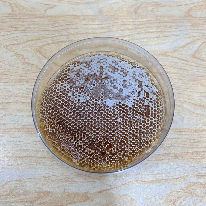 Wildflower Honey with Natural Honey Comb