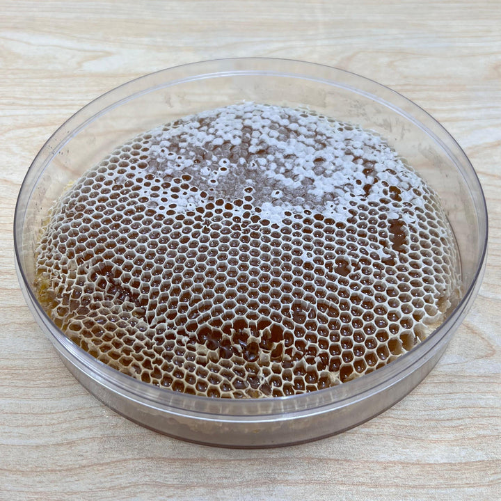 Wildflower Honey with Natural Honey Comb