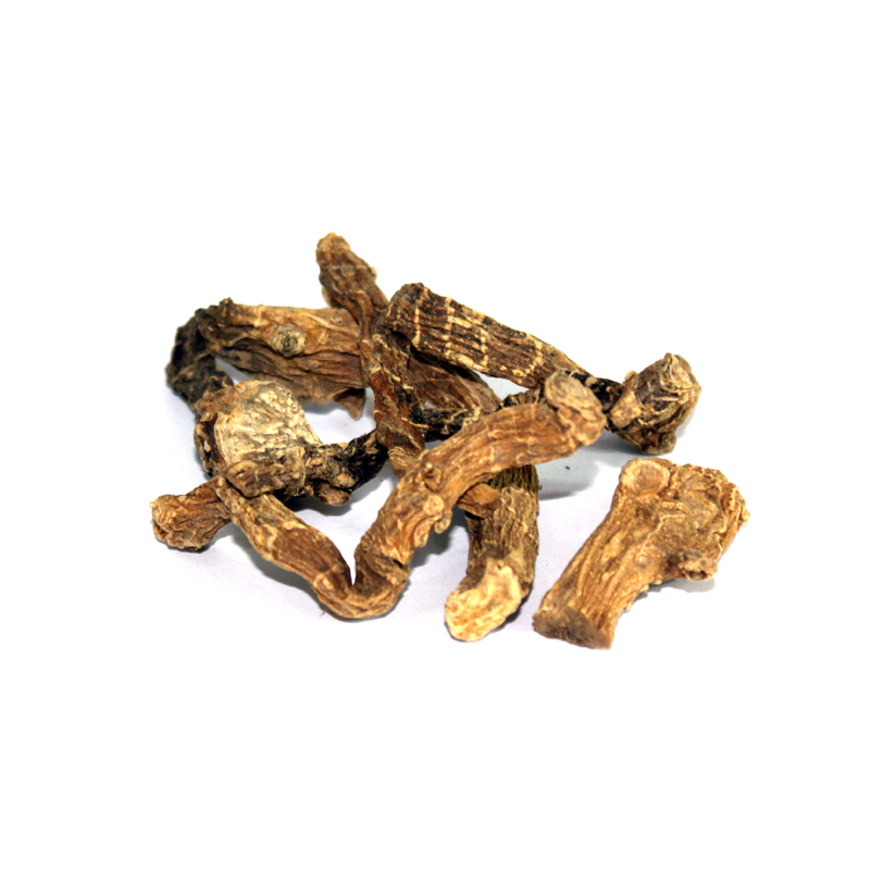 Indian Valerian (Mushk Bala) Scientific Name: Valeriana Wallichi مشک بالا