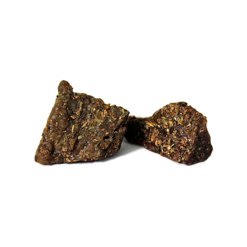 Gum Of Dates Tree (Gond Chohara) Scientific Name: Phoenix Dactylifera گوند چھوارہ