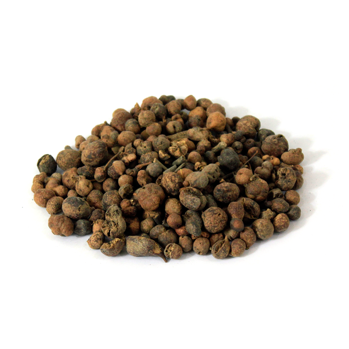 Australian Pine Tree Fruit (Mae Khurdo)  مائیں خوردو