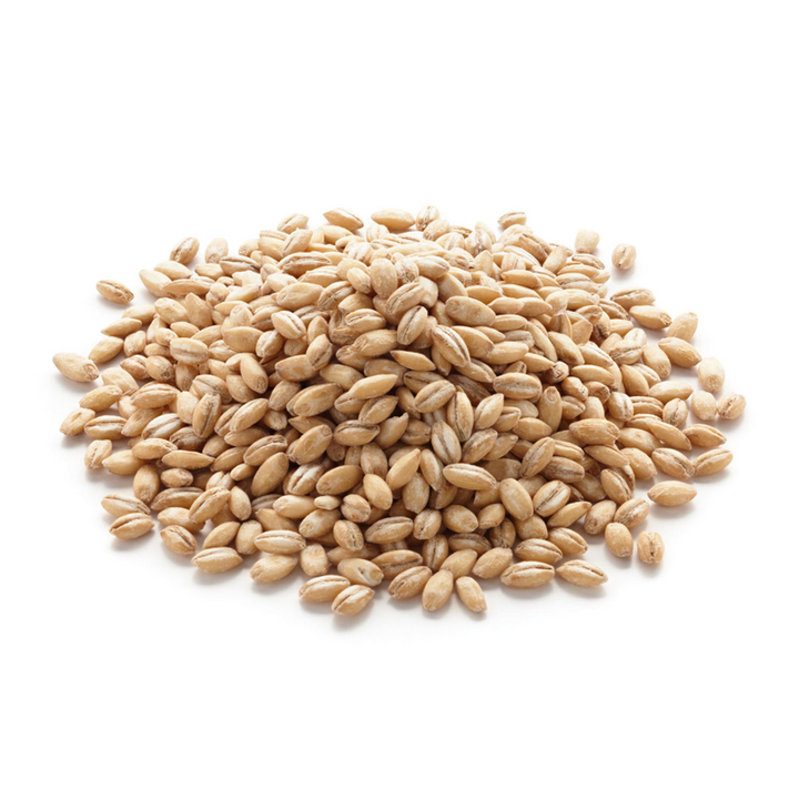 Barley (Joo) جو