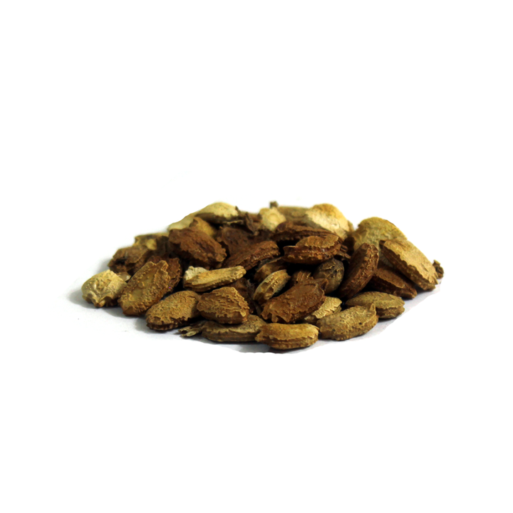 Bitter Gourd Seeds (Tukhm-e-Karela) تخم کریلہ