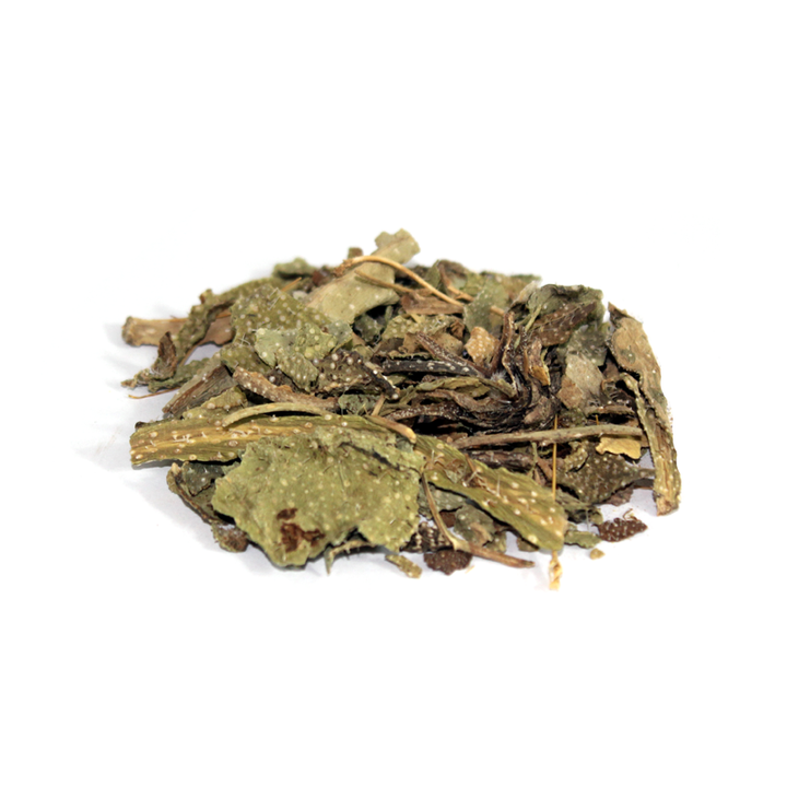 Borage (Gao Zaban)  گاؤ زبان
