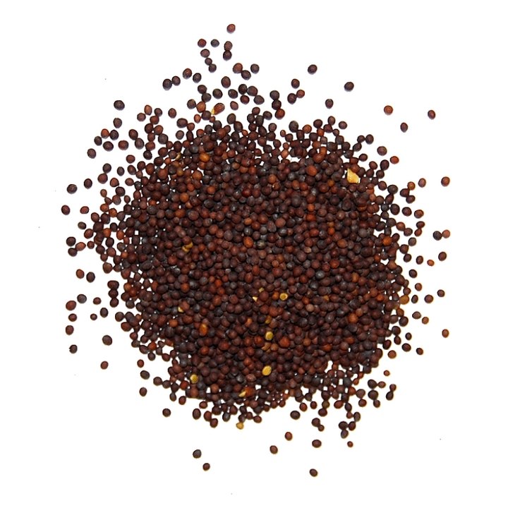 Brown Mustard (Sarson Zard) سرسوں زرد