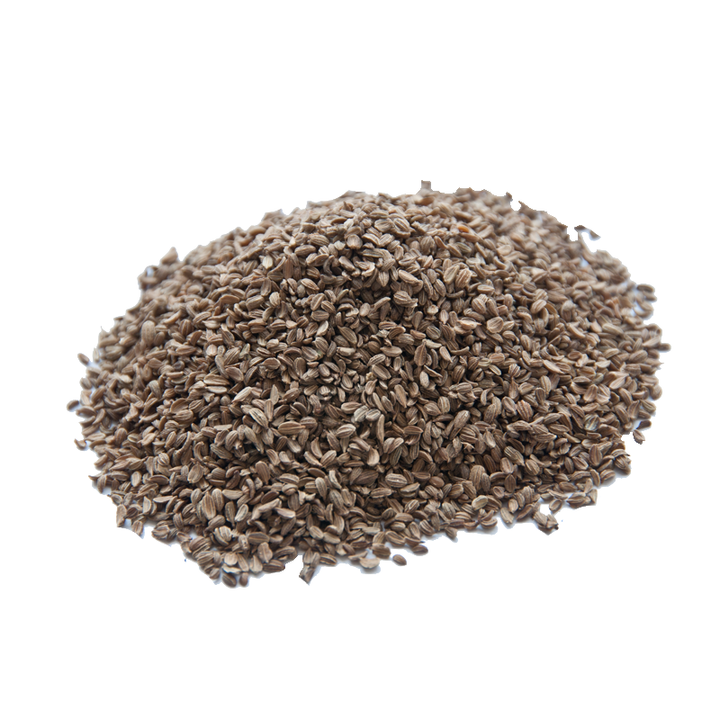 Carrot Seeds (Tukhm-e-Gajar) تخم گاجر