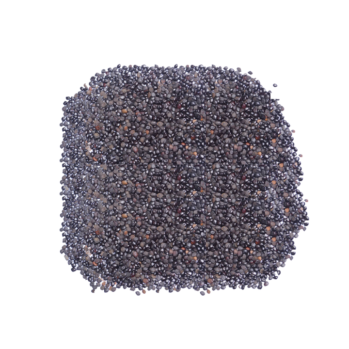 Chaksu Seeds (Chaksu) چاکسو