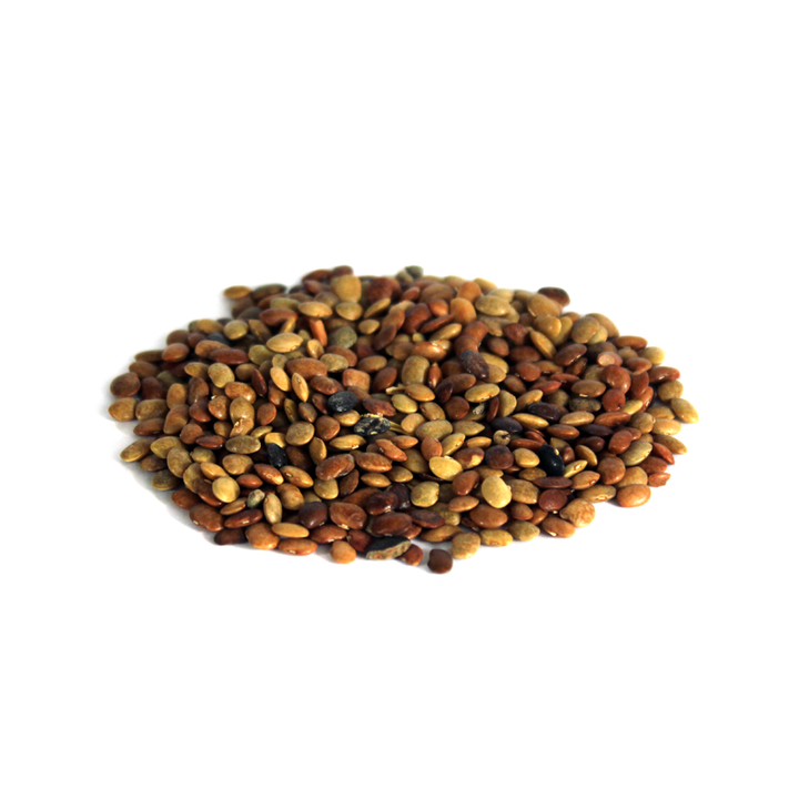 Chinese Chaste Tree Seeds (Tukhm-e-Sanbhalu) تخم سنبھالو