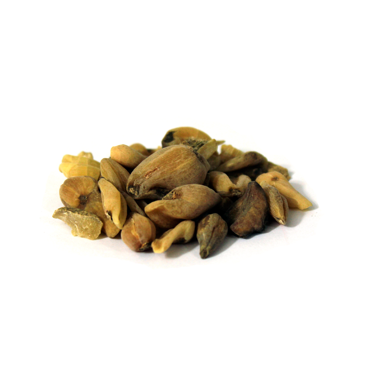 سرانجن تلخ Whole / 50 gm