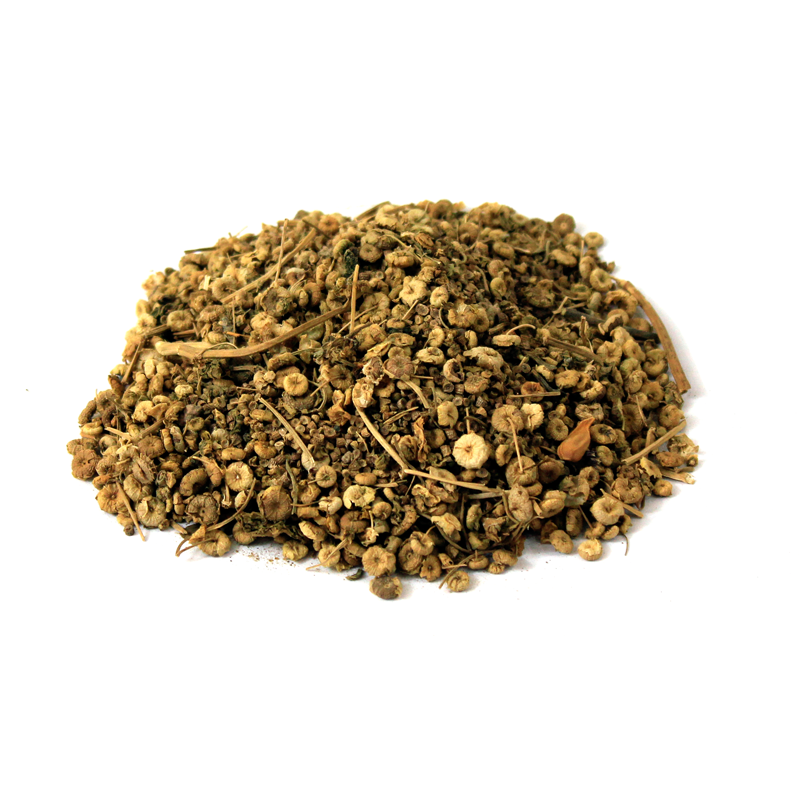 Common Mallow (Khubazi) خبازی