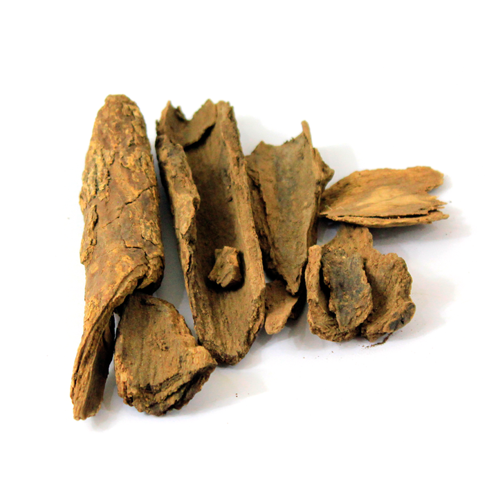Common Tallow Laurel (Maida Lakdi) میدہ لکڑی