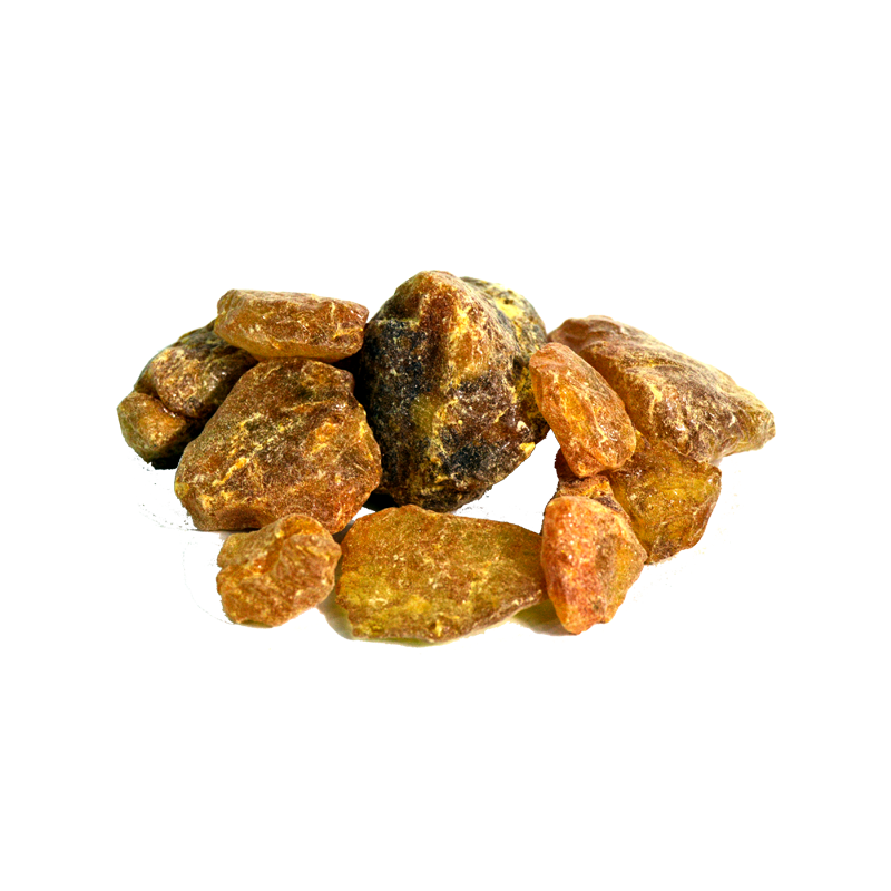 Dried Cheer Pine (Behroza Khushk) بہروزہ خشک
