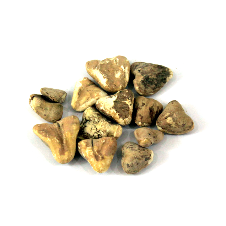 Dried Water Chestnuts (Singhara Khushk) سنگھاڑہ خشک