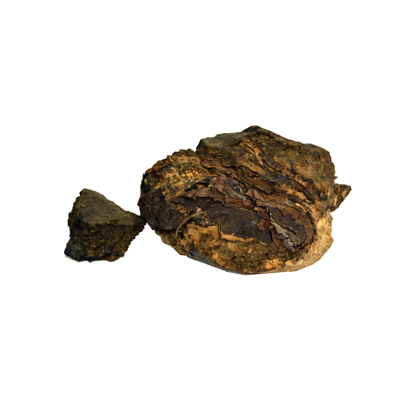Indian Tree Turmeric (Rasoot India) رسوت انڈیا