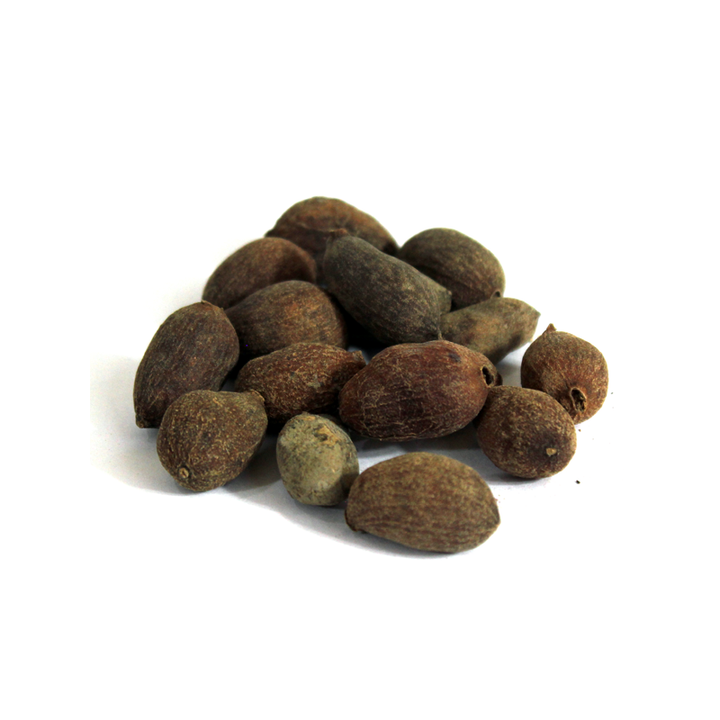 Jambolan Seeds (Tukhm-e-Jaman) تخم جامن