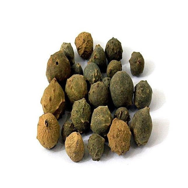 Aleppo Oak (Mazu Sabz) مازو سبز
